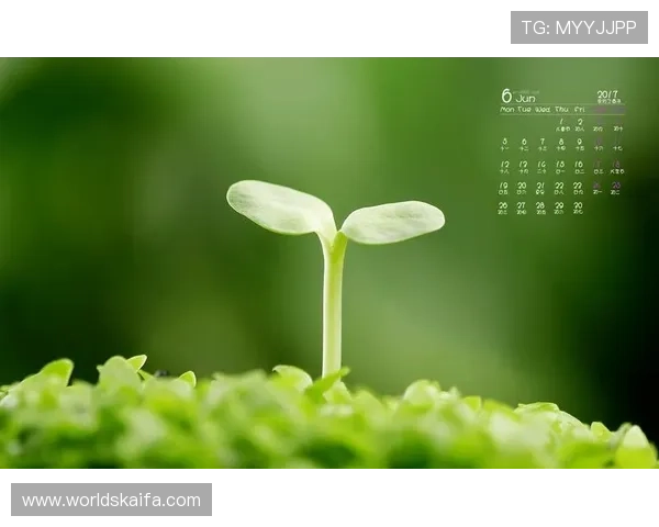 凯发旗舰厅会员登录平台积极响应国家政策,推动绿色健康娱乐环境建设 凯发旗舰厅会员登录平台积极响应国家政策,推动绿色健康娱乐环境建设